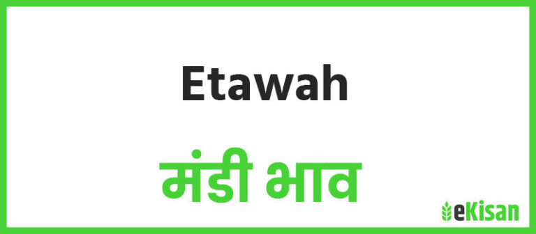 Etawah mandi bbhav